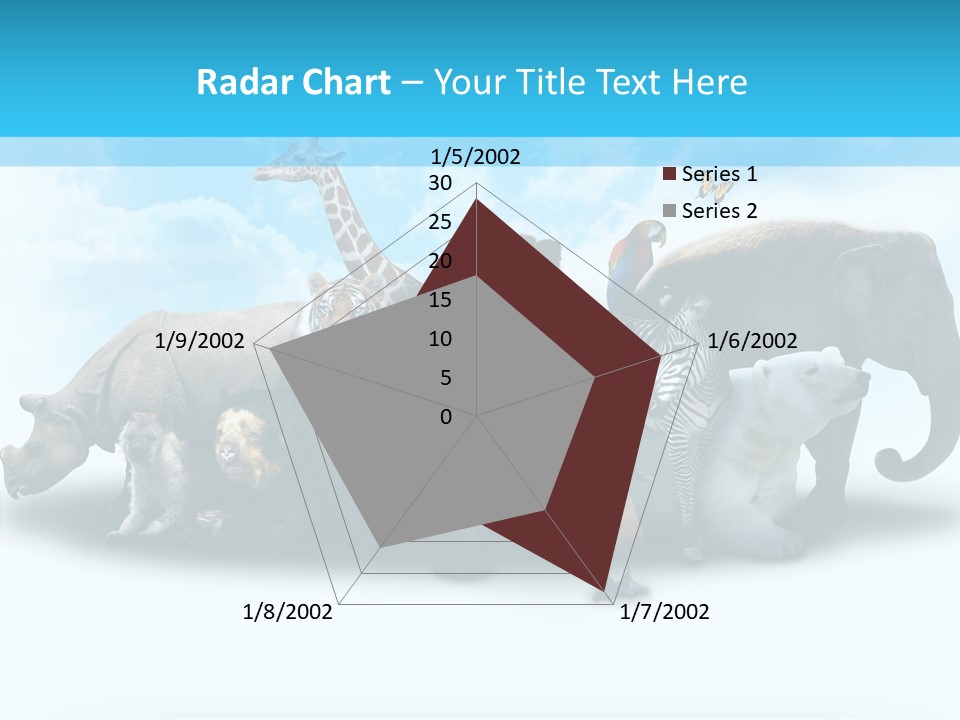Colorful White Zebra PowerPoint Template