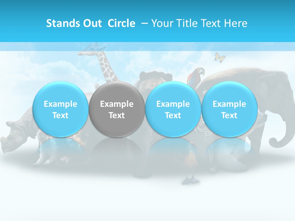 Colorful White Zebra PowerPoint Template