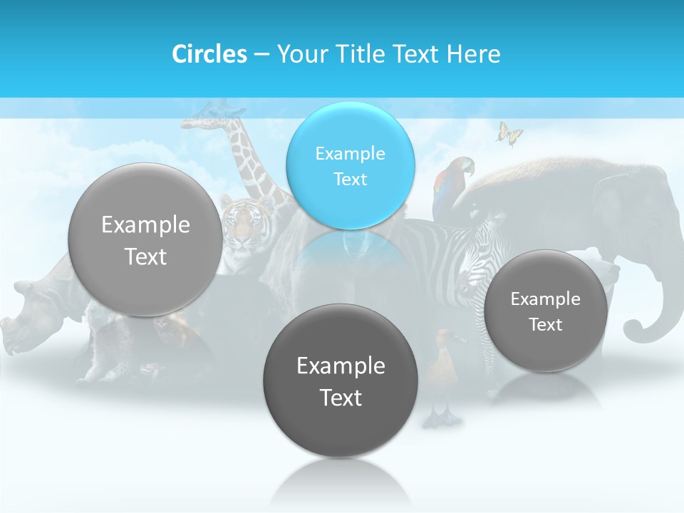 Colorful White Zebra PowerPoint Template