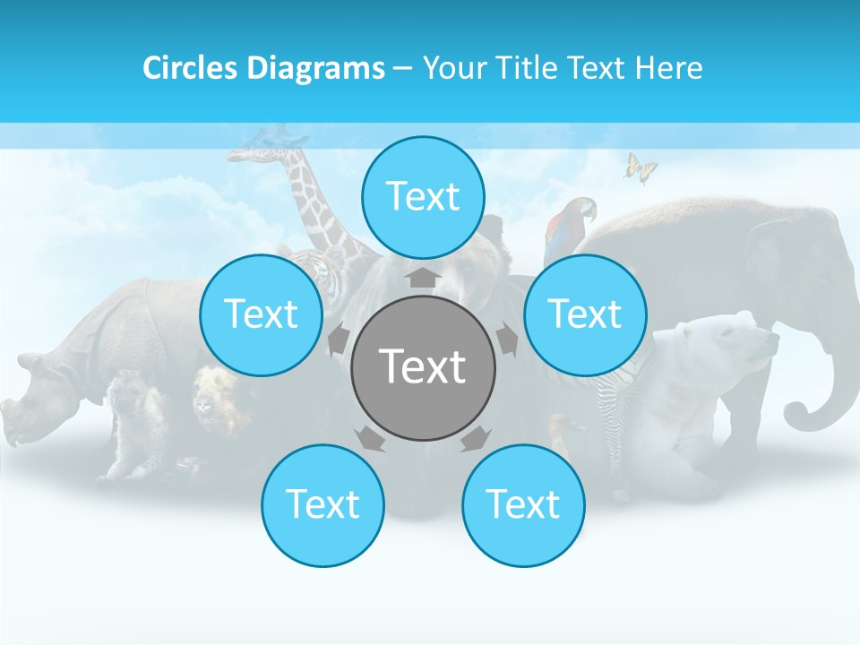 Colorful White Zebra PowerPoint Template