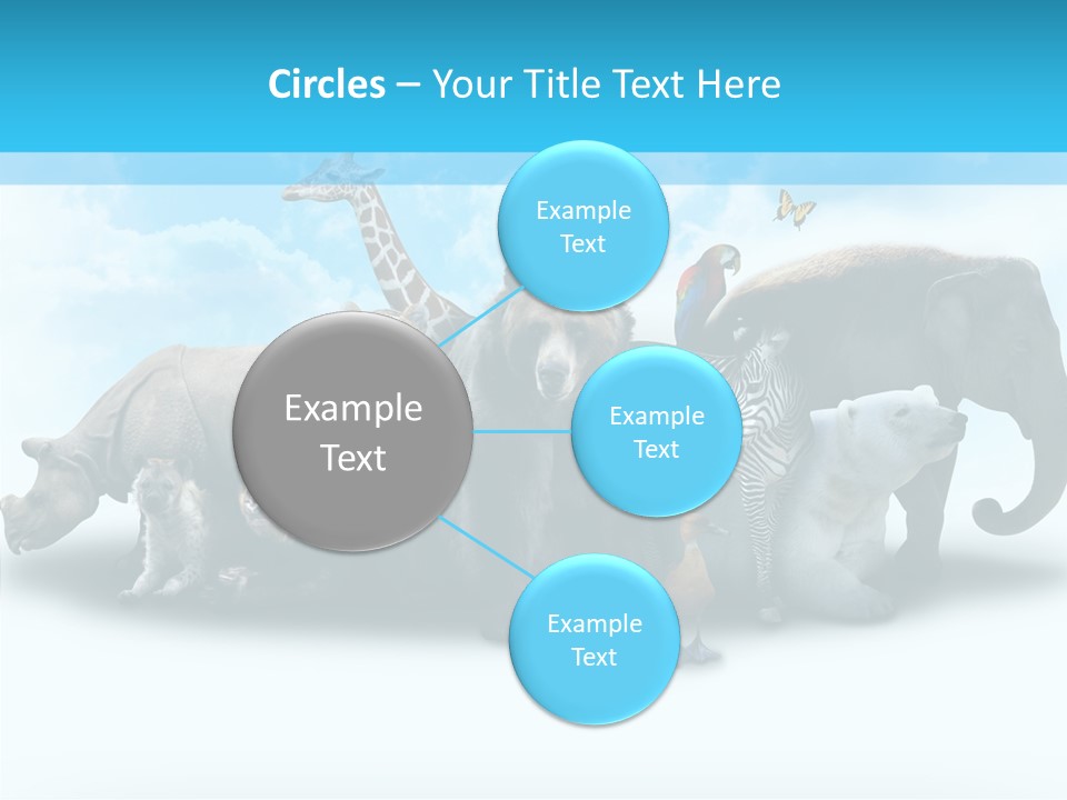 Colorful White Zebra PowerPoint Template