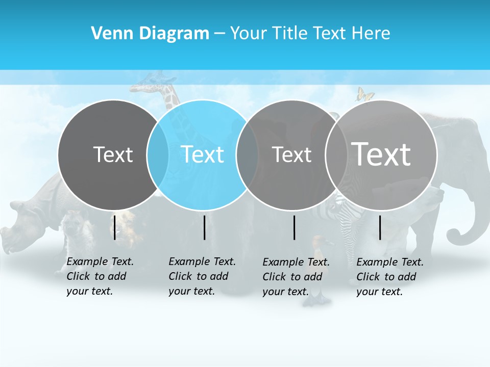 Colorful White Zebra PowerPoint Template