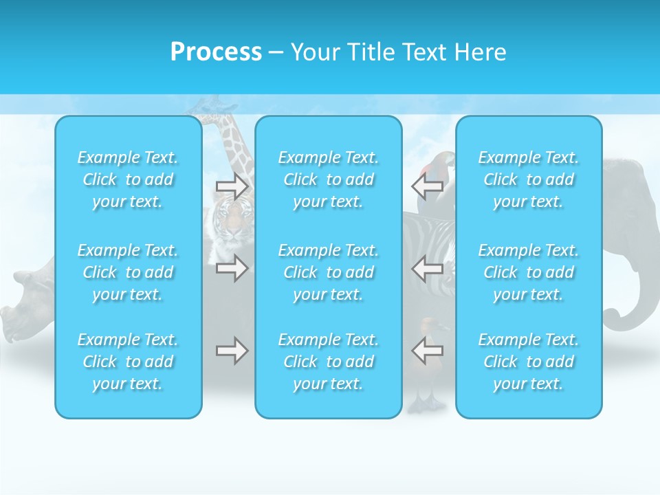 Colorful White Zebra PowerPoint Template