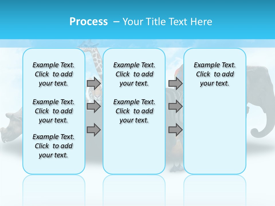 Colorful White Zebra PowerPoint Template