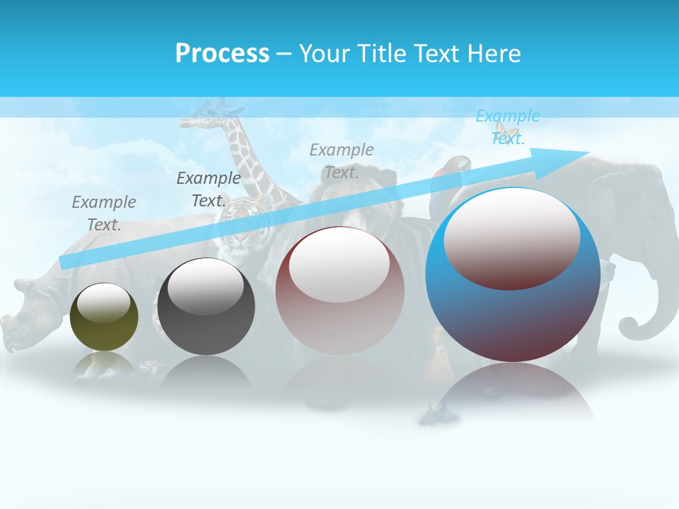 Colorful White Zebra PowerPoint Template