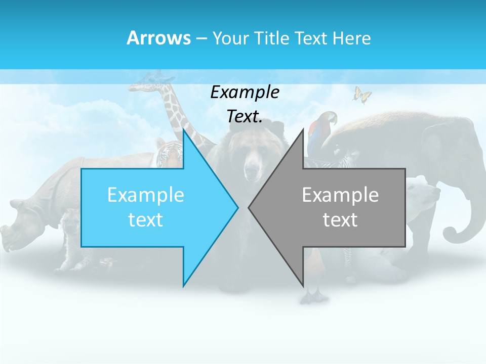 Colorful White Zebra PowerPoint Template