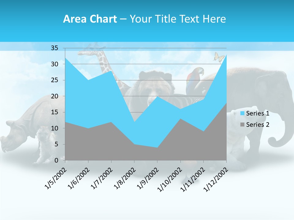 Colorful White Zebra PowerPoint Template