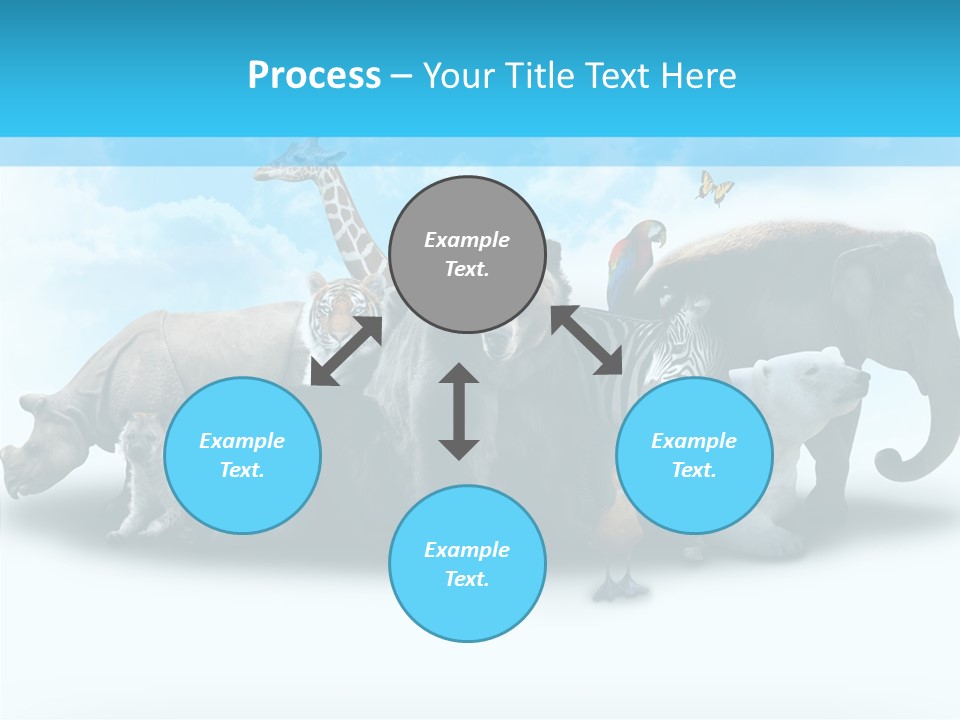 Colorful White Zebra PowerPoint Template