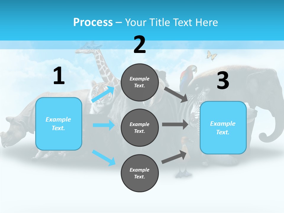 Colorful White Zebra PowerPoint Template