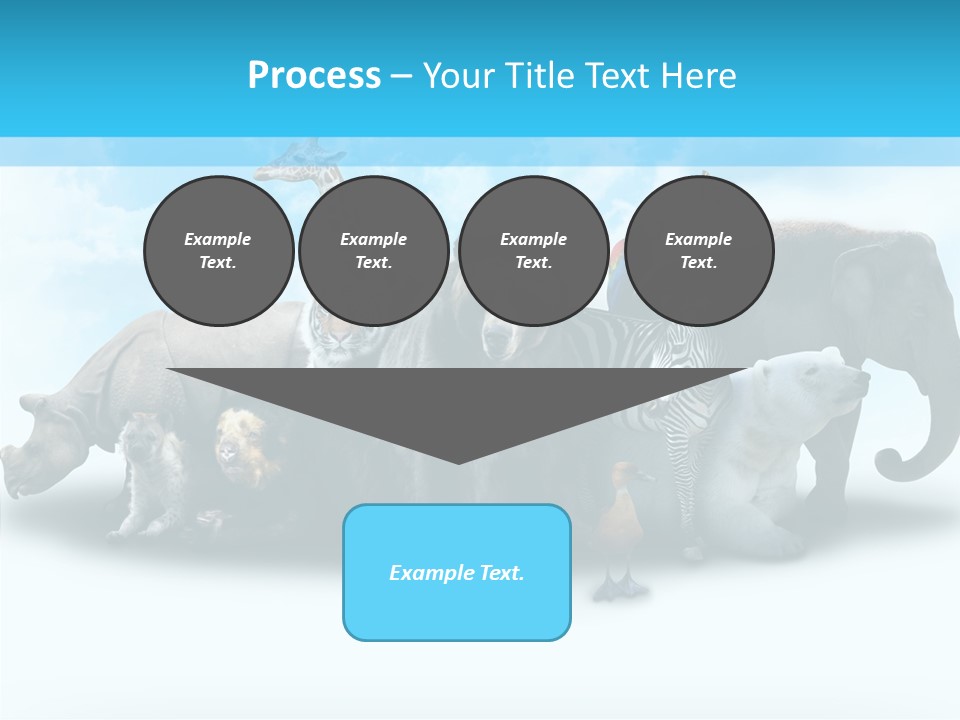 Colorful White Zebra PowerPoint Template