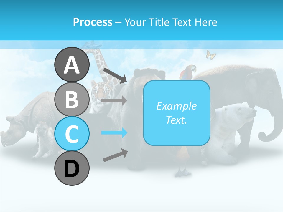 Colorful White Zebra PowerPoint Template