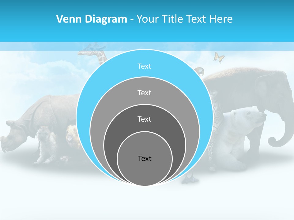 Colorful White Zebra PowerPoint Template