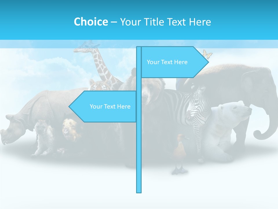 Colorful White Zebra PowerPoint Template