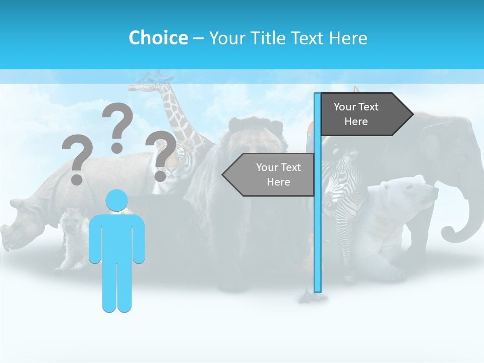 Colorful White Zebra PowerPoint Template