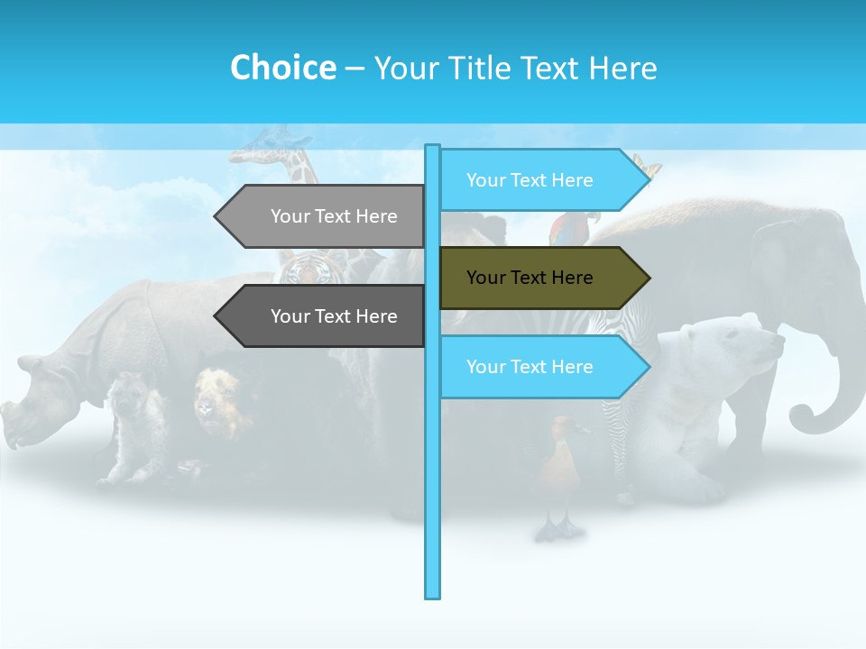 Colorful White Zebra PowerPoint Template
