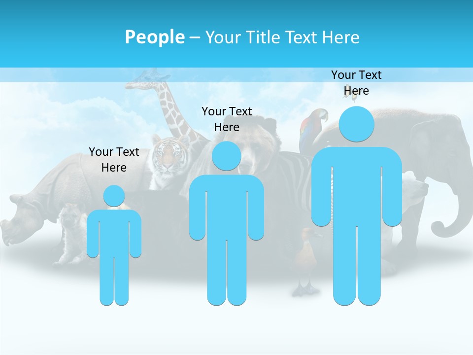 Colorful White Zebra PowerPoint Template