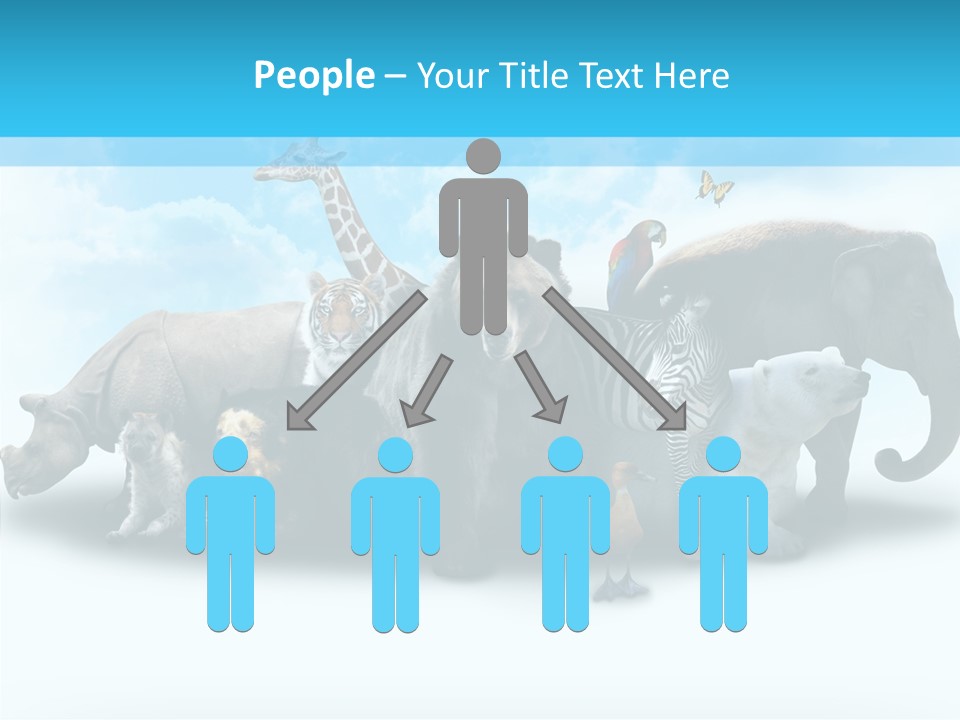 Colorful White Zebra PowerPoint Template