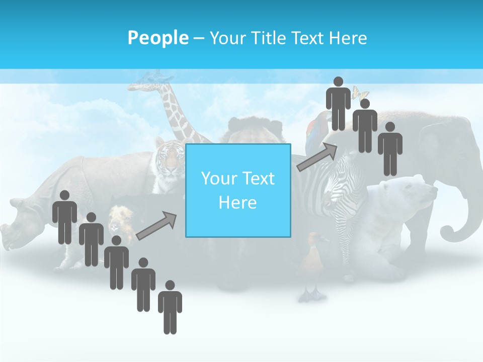 Colorful White Zebra PowerPoint Template