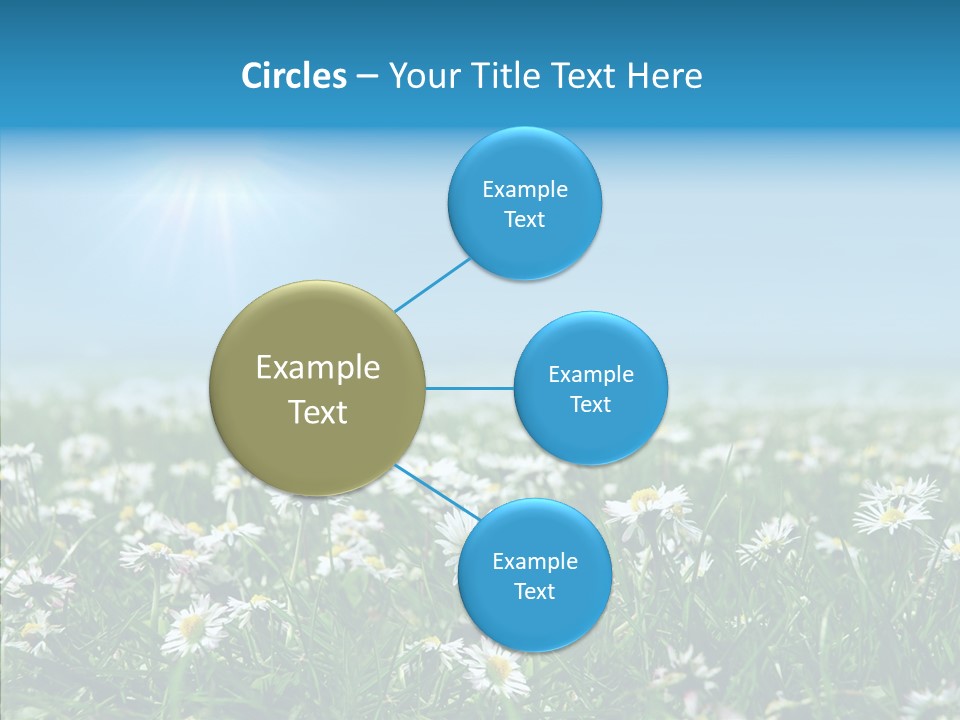 Pasture Idyllic Agriculture PowerPoint Template