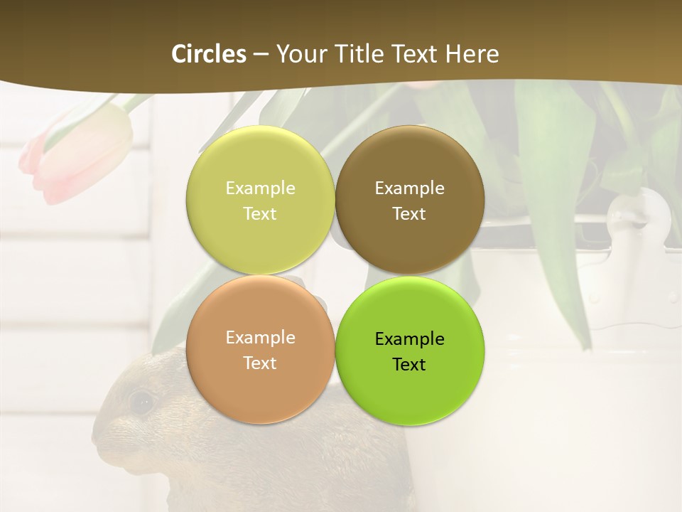 Surprise Happy Sweet PowerPoint Template