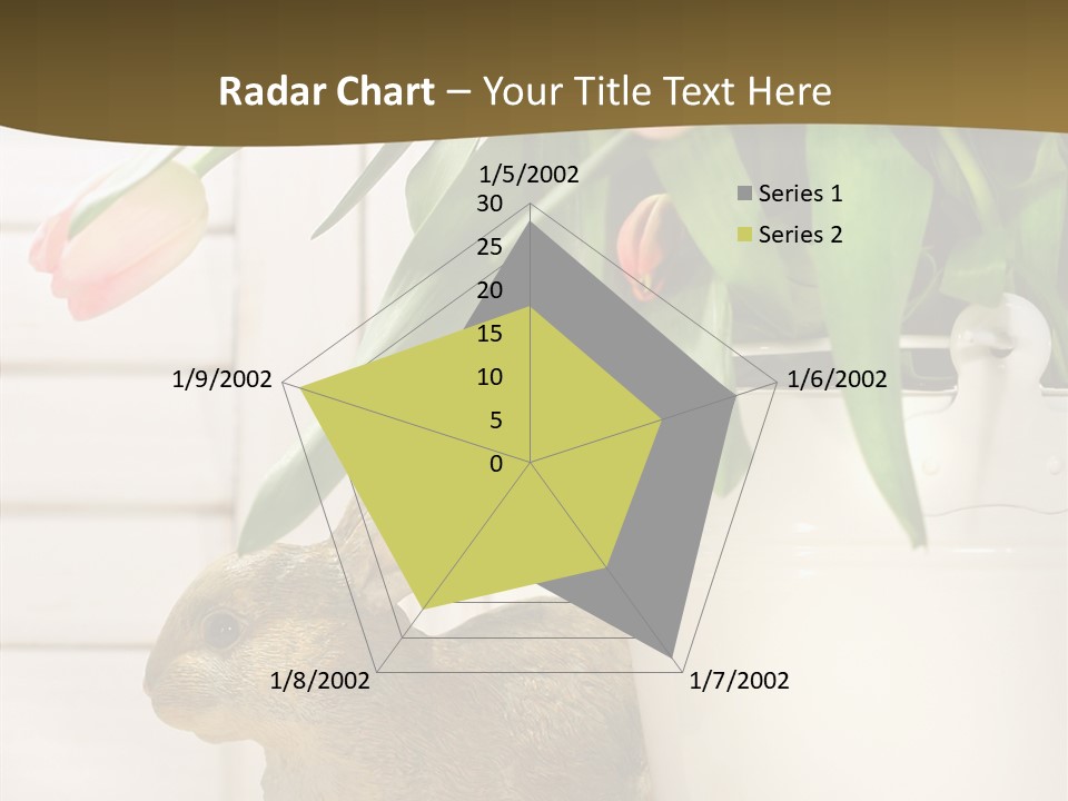 Surprise Happy Sweet PowerPoint Template