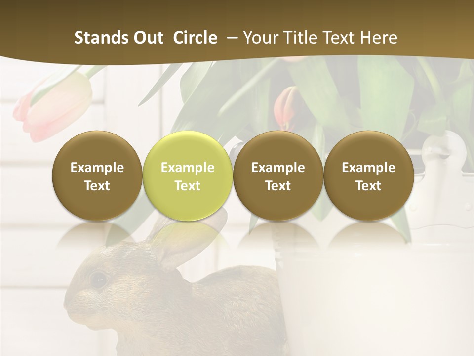 Surprise Happy Sweet PowerPoint Template