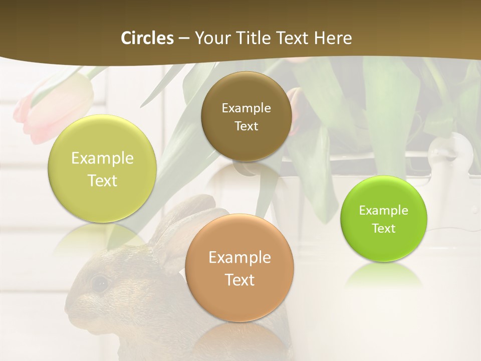 Surprise Happy Sweet PowerPoint Template