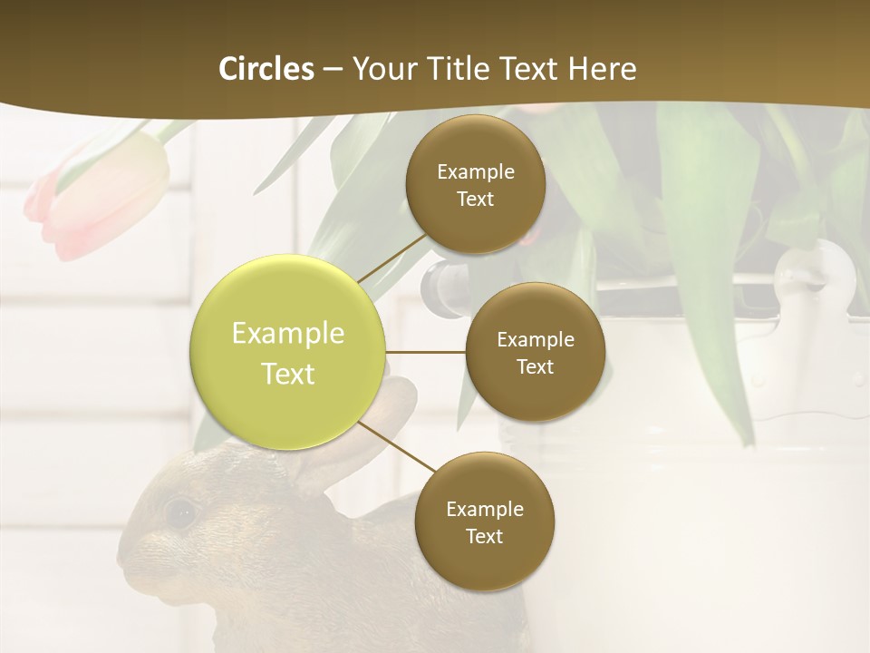 Surprise Happy Sweet PowerPoint Template