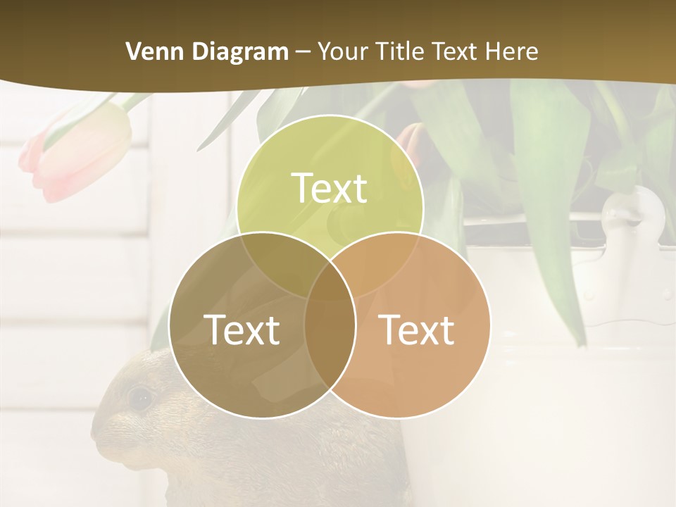 Surprise Happy Sweet PowerPoint Template