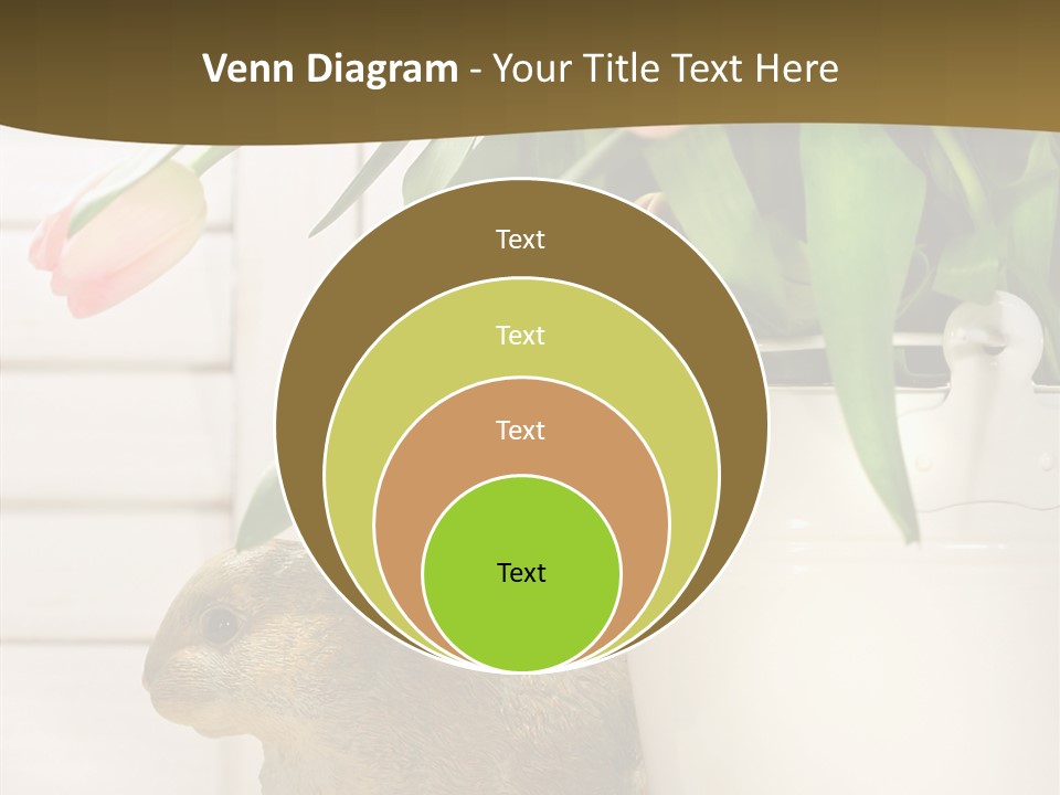 Surprise Happy Sweet PowerPoint Template