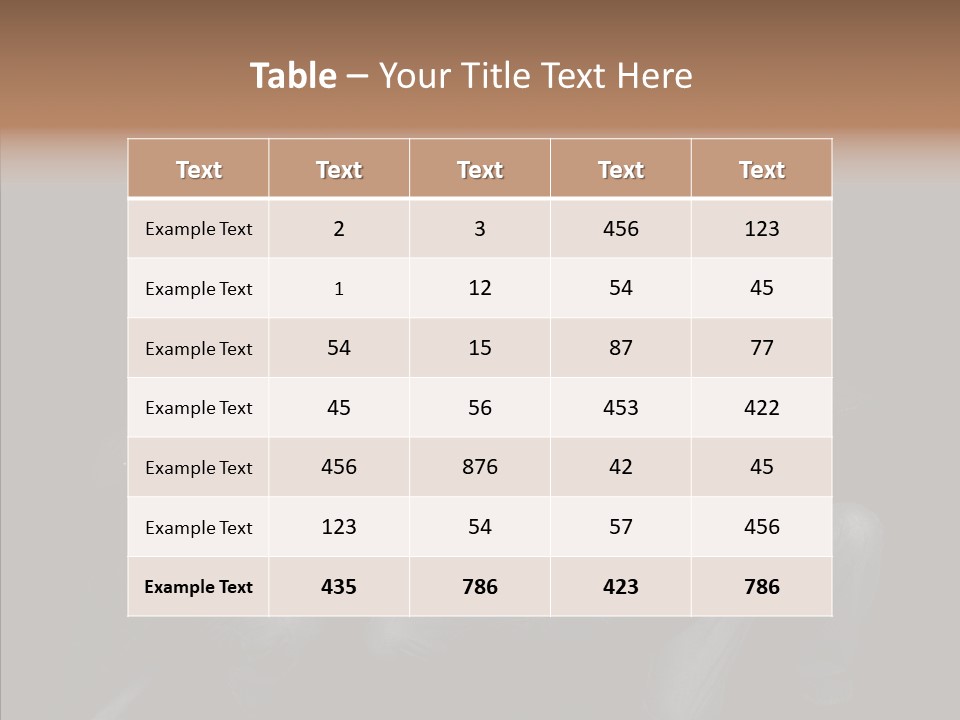 Photojournalist Public Privacy PowerPoint Template