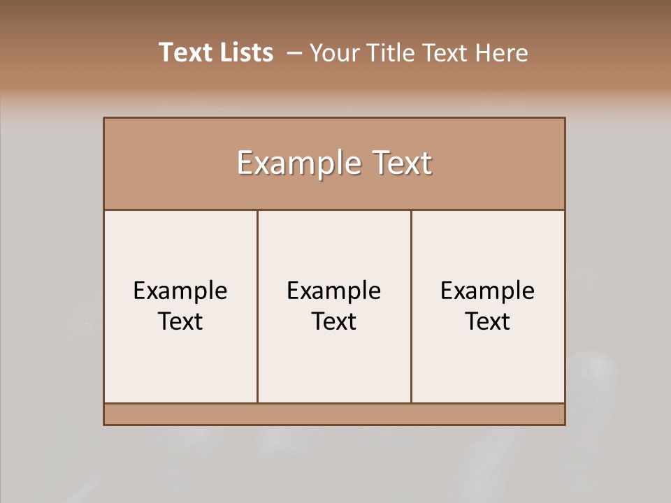 Photojournalist Public Privacy PowerPoint Template