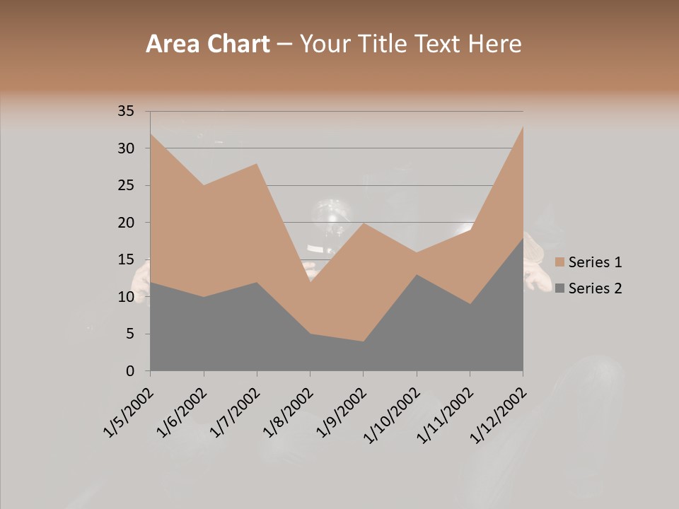 Photojournalist Public Privacy PowerPoint Template