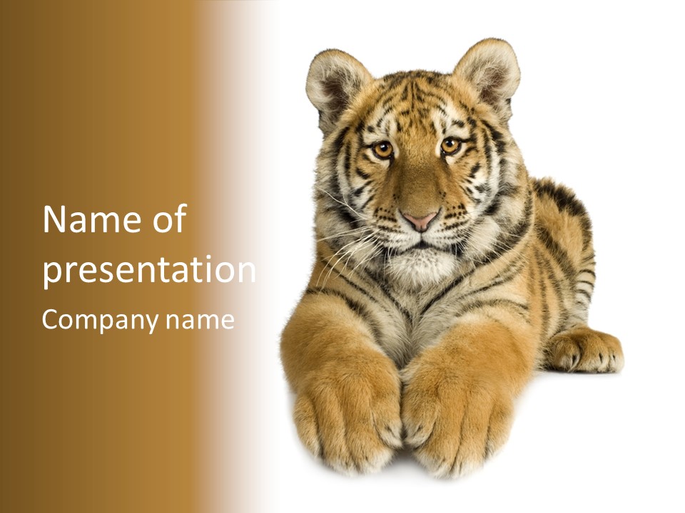 Wildlife Stripes Predator PowerPoint Template