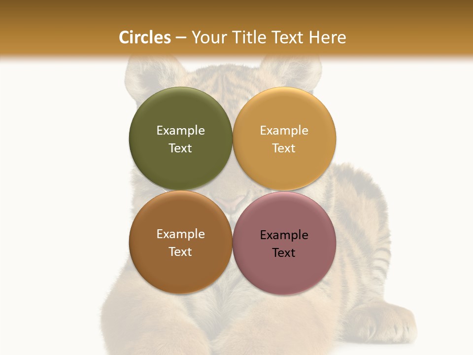 Wildlife Stripes Predator PowerPoint Template