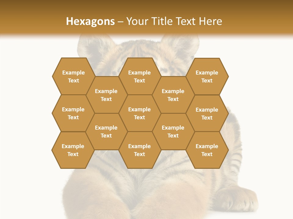 Wildlife Stripes Predator PowerPoint Template