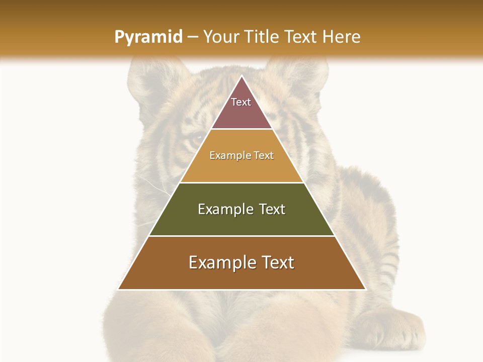 Wildlife Stripes Predator PowerPoint Template