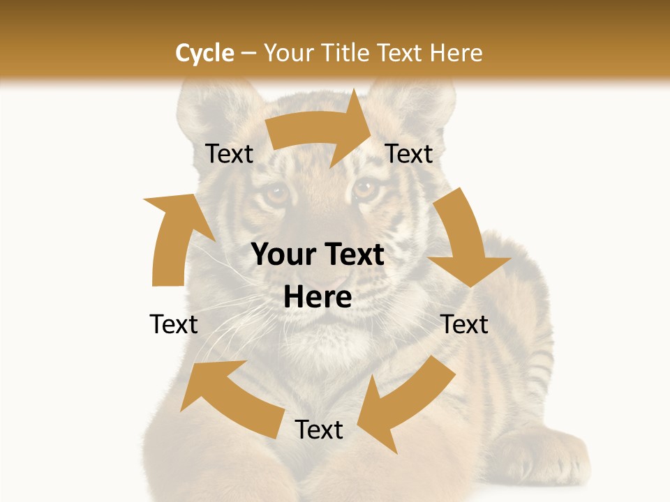 Wildlife Stripes Predator PowerPoint Template