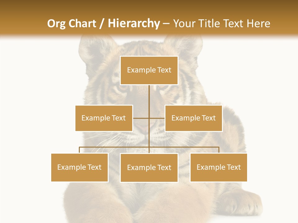 Wildlife Stripes Predator PowerPoint Template