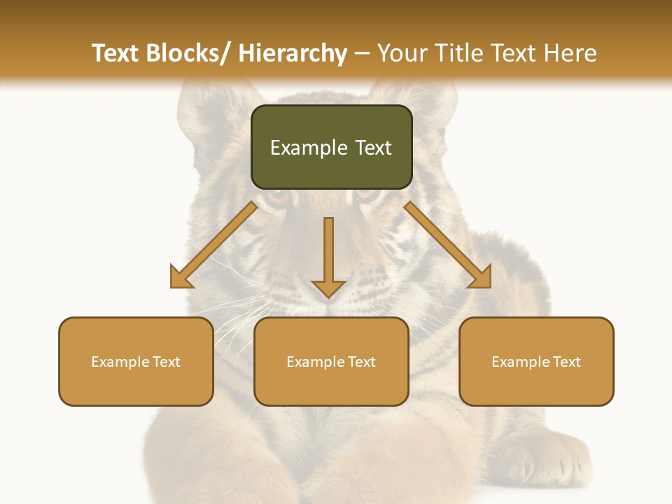 Wildlife Stripes Predator PowerPoint Template