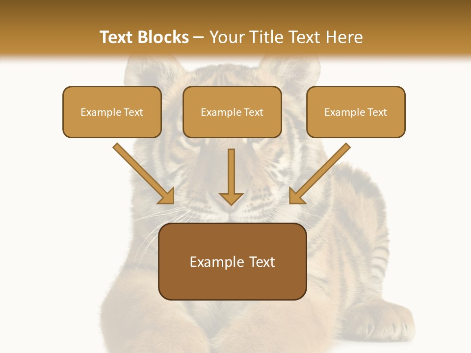 Wildlife Stripes Predator PowerPoint Template