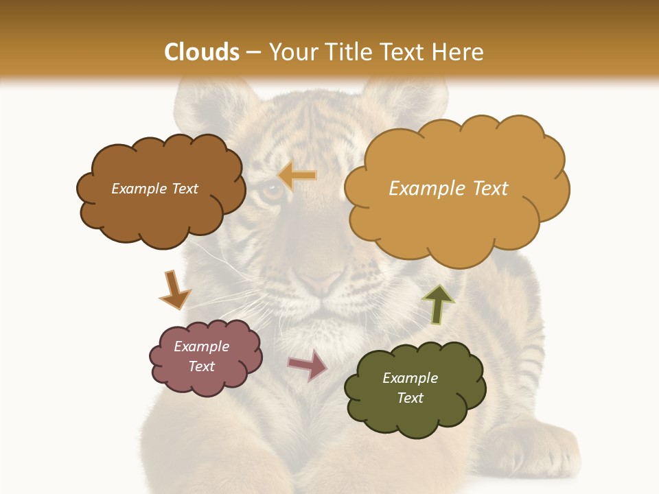 Wildlife Stripes Predator PowerPoint Template