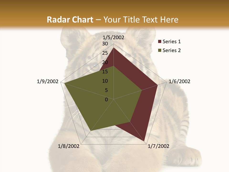 Wildlife Stripes Predator PowerPoint Template