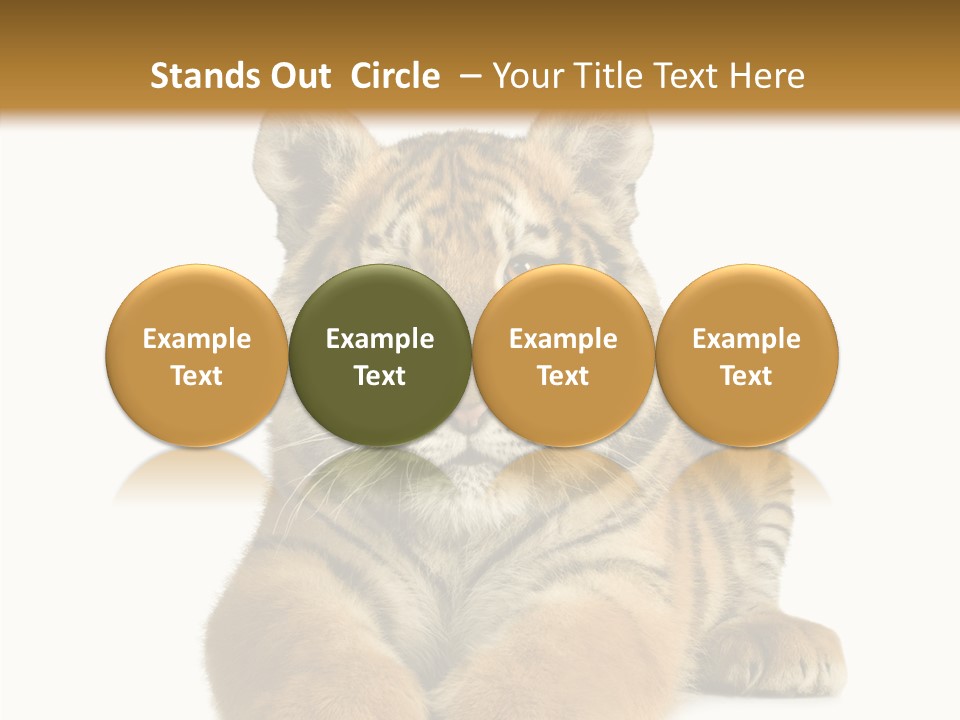Wildlife Stripes Predator PowerPoint Template
