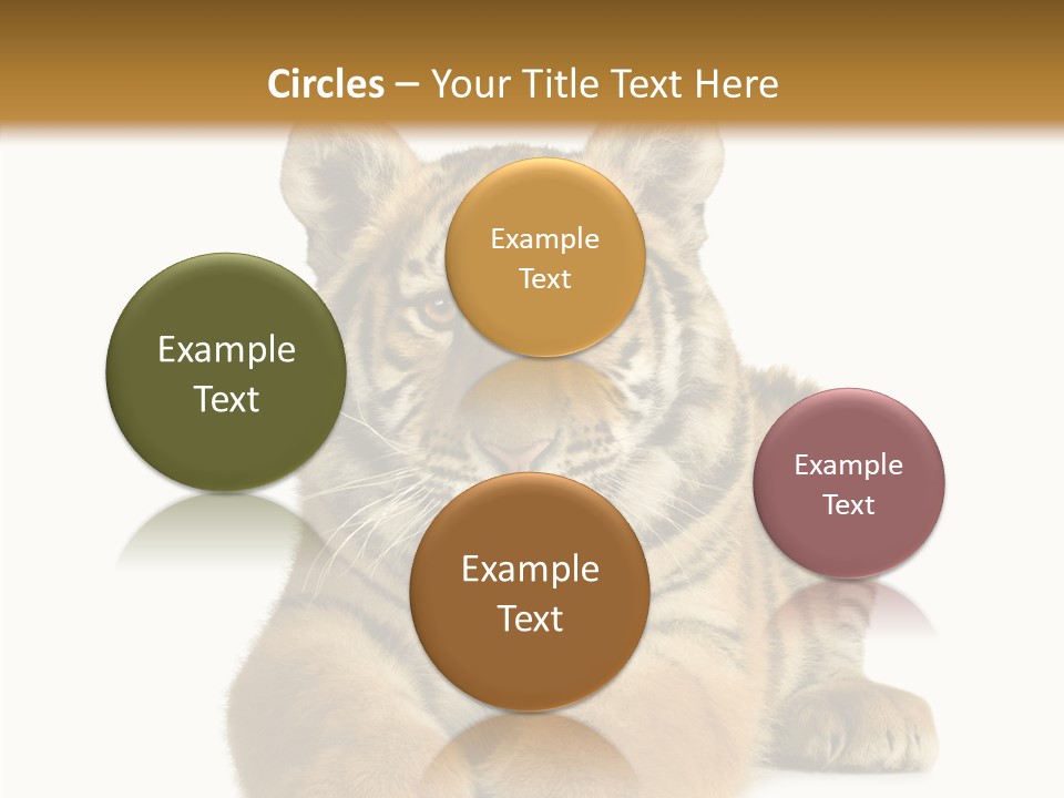 Wildlife Stripes Predator PowerPoint Template