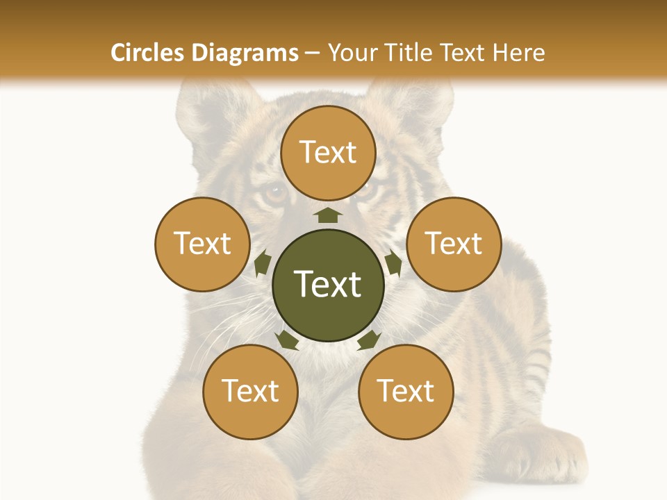 Wildlife Stripes Predator PowerPoint Template