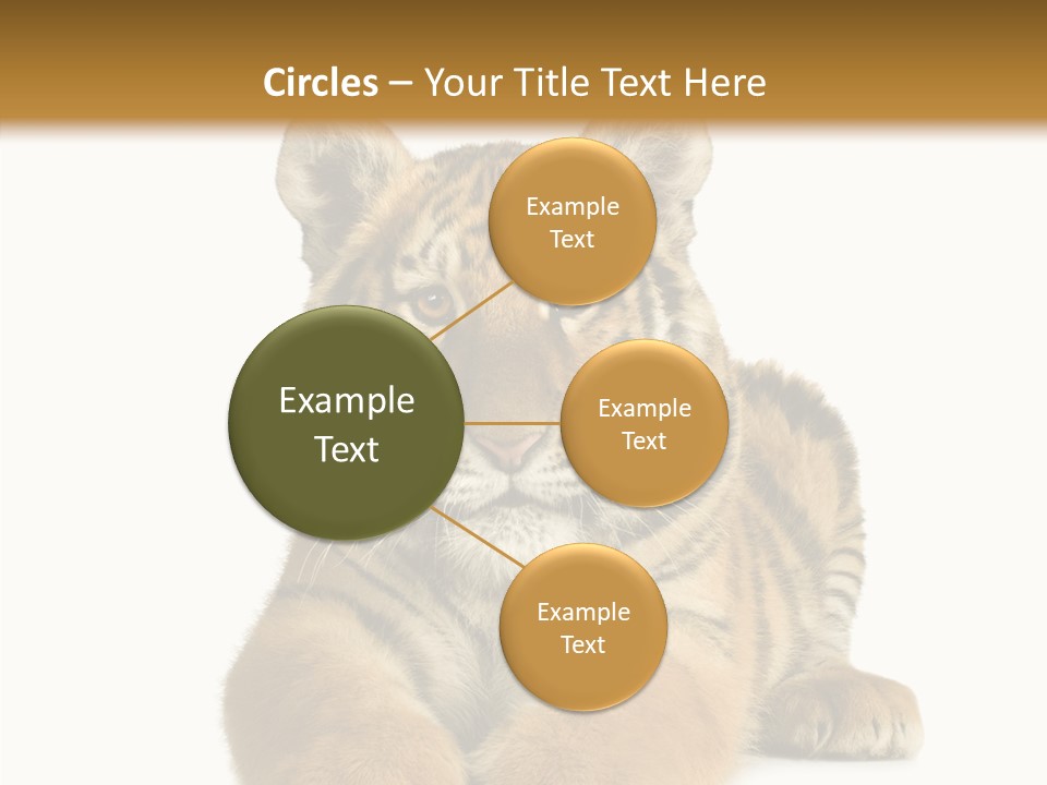 Wildlife Stripes Predator PowerPoint Template