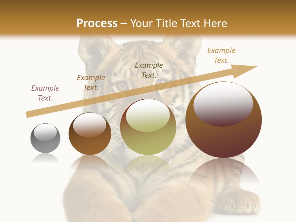 Wildlife Stripes Predator PowerPoint Template