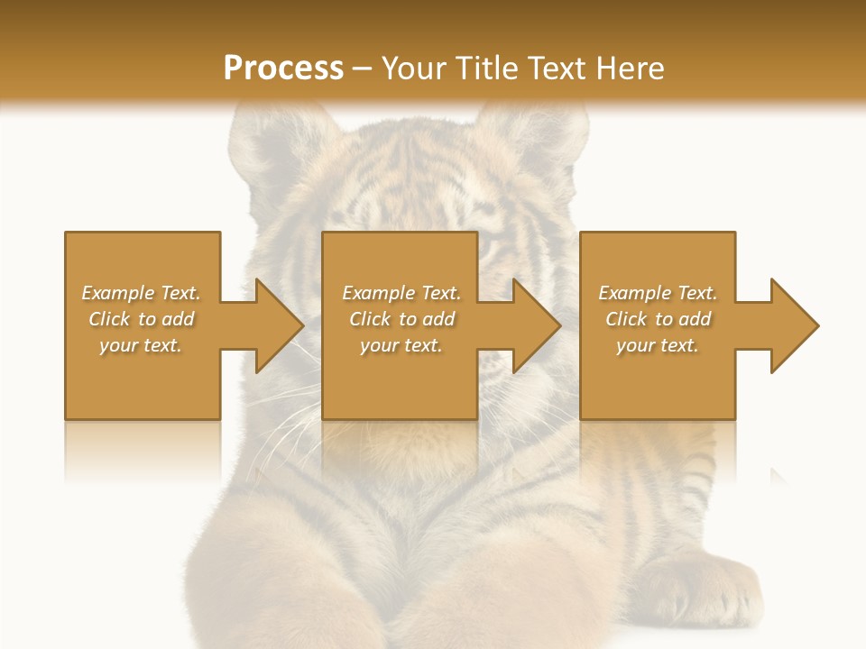 Wildlife Stripes Predator PowerPoint Template