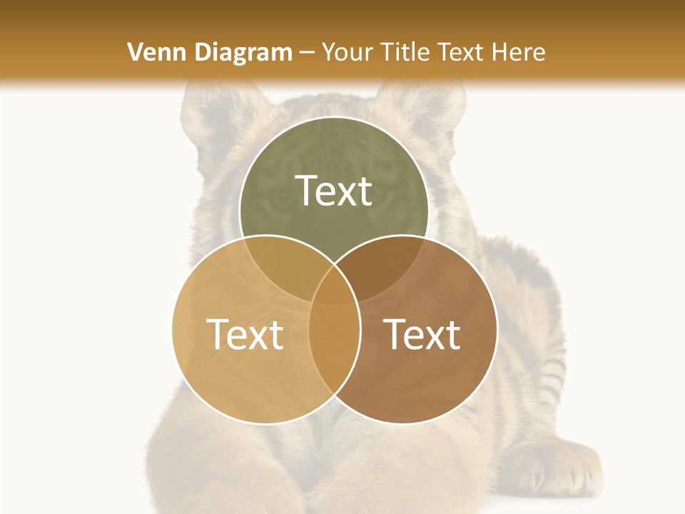 Wildlife Stripes Predator PowerPoint Template